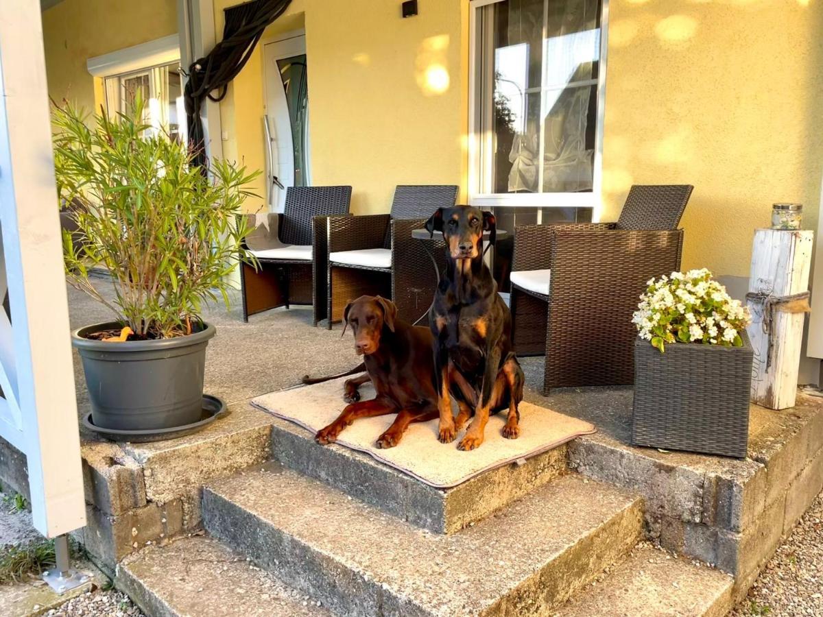 Ferienwohnung Toja Aletshausen Εξωτερικό φωτογραφία